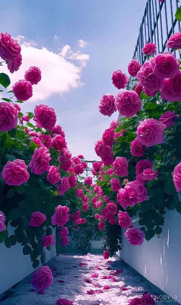 به آن برنگرد،  وقتی برایش توبه کردی
